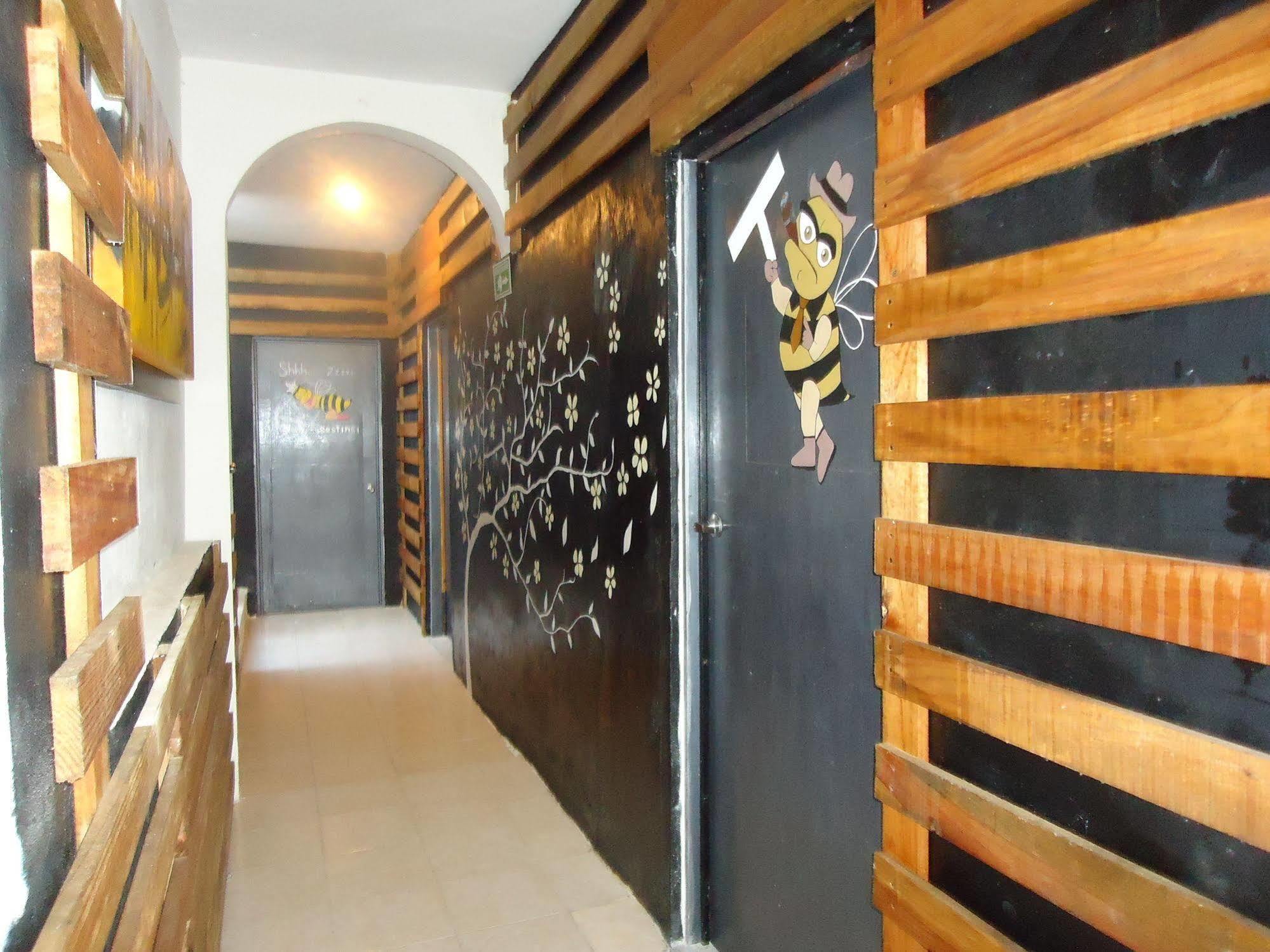Humble Bumble Hostel Playa del Carmen Dış mekan fotoğraf